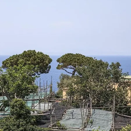 Villa Le Palme Sant'Agnello
